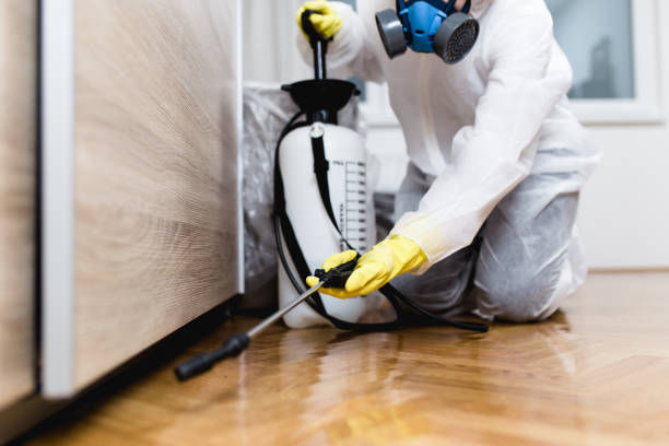 Trusted Cedar Point, NC Pest Control Experts