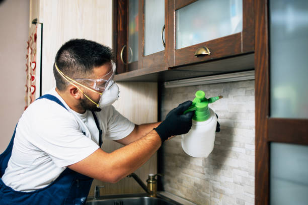 Professional Pest Control in Cedar Point, NC