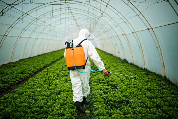 Best Local Pest Control Services  in Cedar Point, NC
