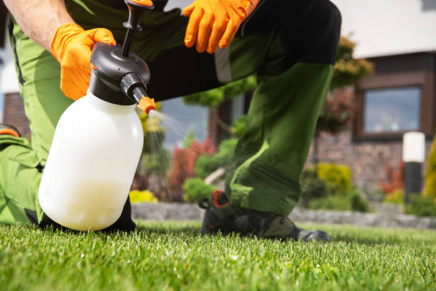 Best Residential Pest Control  in Cedar Point, NC