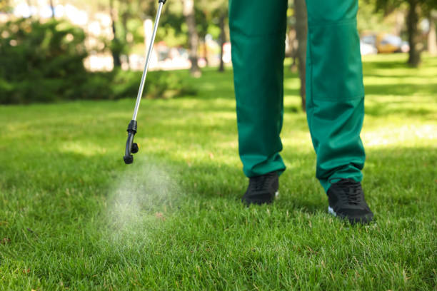 Best Best Pest Control Companies  in Cedar Point, NC