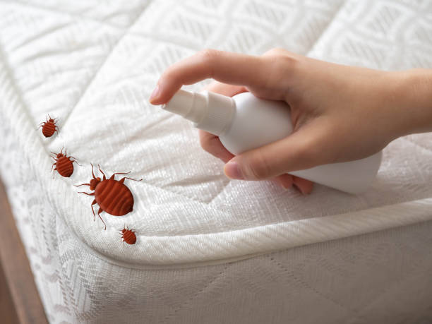 Best Pest Removal Services  in Cedar Point, NC