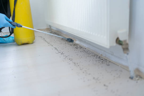 Pest Control Cost in Cedar Point, NC
