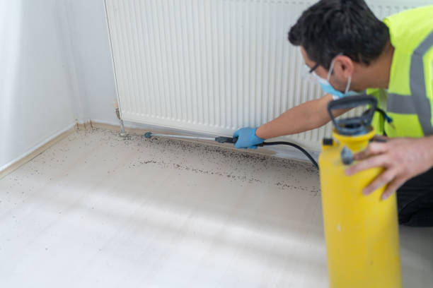 Best Commercial Pest Control Services  in Cedar Point, NC