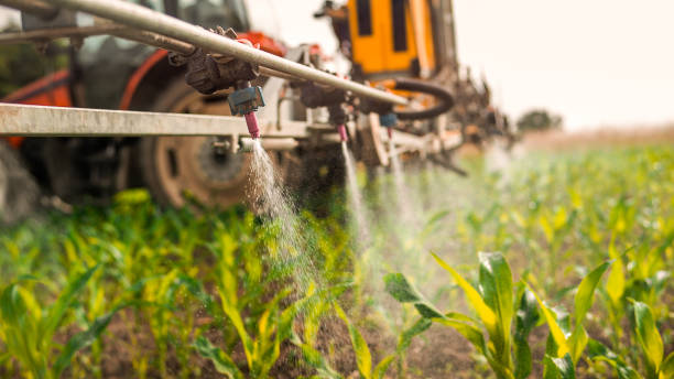 Best Mosquito Control Services  in Cedar Point, NC